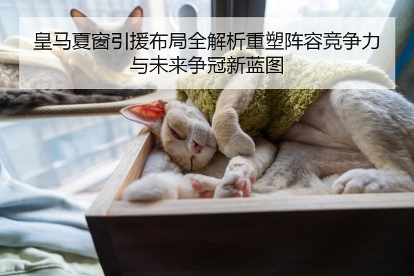 皇马夏窗引援布局全解析重塑阵容竞争力与未来争冠新蓝图